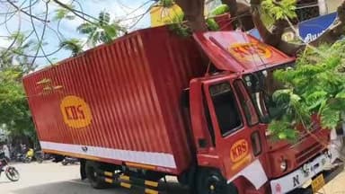 கடலூர்: வட்டிபாளையத்தில் சாலையில் சென்ற வாகனத்தின் மீது மரம் விழுந்து விபத்து