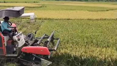 সাব্রুম: আধুনিক ধান কাটার মেশিন আসলো সাব্রুমের বটতলার গোবিন্দ মাঠে