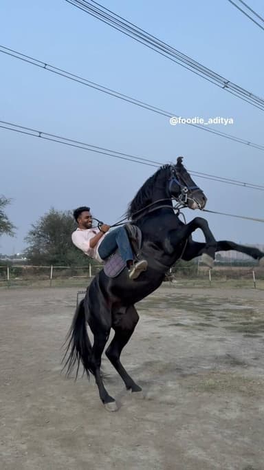 Didn’t expect my first horse riding experience to be this good honestly 🐎✨
If you’re in Noida or nearby and looking for ...