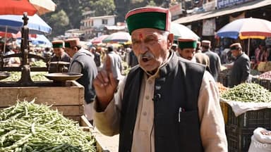 11 में 2026 को सोलन मंडी में लोकल बीन का भाव 125 रुपए प्रति किलो तक रहा ....#beans #francebean #sopan #himachal