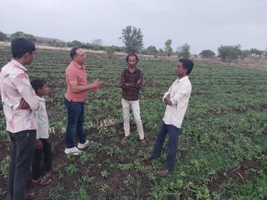 ग्रीष्मकालीन तिल एवं उड़द फसल से किसानों की बढ़ी आय, जिले में तीसरी फसल को मिल रहा बढ़ावा
मध्यप्रदेश शासन द्वारा वर्ष 202...