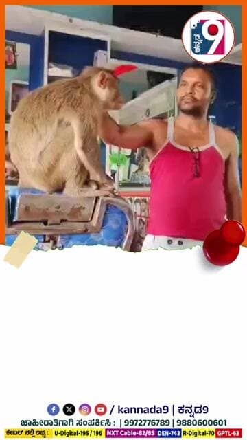 ಹೇರ್ ಕಟ್ ಹೇಗಿರಬೇಕು ಅಂದ್ರೆ ನಮ್ ಚಂದನ್ ಶೆಟ್ಟಿ ಮಾಡಿಸಿದ್ದರಲ್ಲ ಹಾಂಗ್ ಮಾಡು. #kannada9 #news #animal