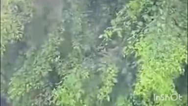 जोधपुर: बालेसर थाना क्षेत्र में एक नाबालिग ने किया आत्महत्या