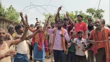 मनिहारी: मनोहरपुर पंचायत में 11 हजार वोल्ट की चपेट में आने से दुधारू गाय की मौत