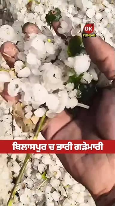 ਬਿਲਾਸਪੁਰ (ਪੰਜਾਬ) ਚ ਭਾਰੀ ਗੜੇਮਾਰੀ