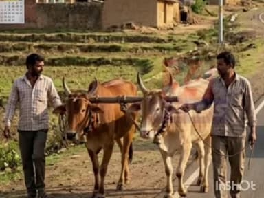 राजूरा: किरीमिरी हायवेवर पिकअप चालका ने युवकाला उडवले अपघातानंतर पळ काढला