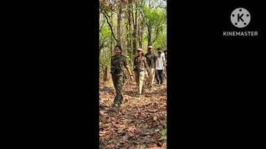 राजिम: उदंती सीतानदी टाइगर रिजर्व क्षेत्र में बाघ और राजकीय पशु वन भैंसा की सुरक्षा के लिए महिला वनकर्मी तैनात