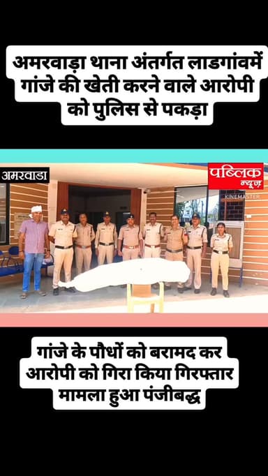 अमरवाड़ा थाना अंतर्गत लाड गांव में गांजे की खेती करने वाले आरोपी को पुलिस ने पड़कर किया गिरफ्तार गांजे के पौधे किए गए बर...