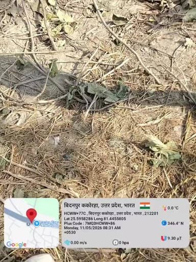 भ्रष्टाचार न्यूज़ कौशांबी जिला के कोखराज थाना अंतर्गत विदनपुर स्टेशन के पास 20 से 25 सागवान का पेड़ अवैध तरीके से काटा