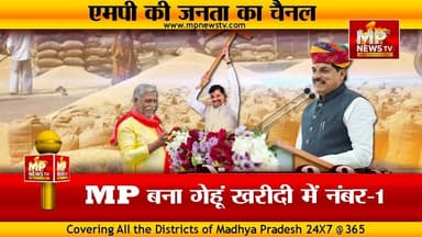 गेहूं खरीदी में MP बना नंबर-1, पंजाब को पछाड़ के निकला आगे ! MP NEWS BHOPAL #mpnews #bhopal #panjab #cmmohanyadav #mohanc...