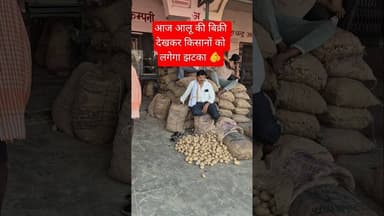 आज आलू की बिक्री देखकर किसानों को लगेगा झटका #aalukabhav