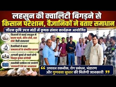लहसुन की क्वालिटी बिगड़ने से किसान परेशान, वैज्ञानिकों ने बताए समाधान #kisan #krishimandi #jiran mp