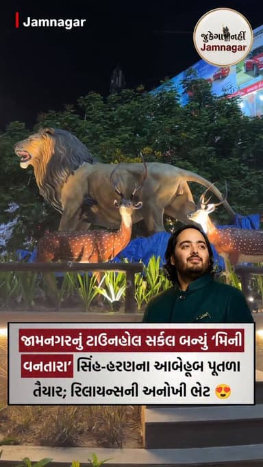 😍 જામનગરનું ટાઉનહોલ સર્કલ બન્યું ‘મિની વનતારા’
[ jamnagar, vantara, townhallcirclejamnagar, vantara jamnagar, reliance ...
