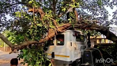 जहानाबाद: घोड़ा अस्पताल के पास गिरा बरगद का पेड़, ड्राइवर-खलासी की हालत पर सवाल, वन विभाग पर उठे सवाल