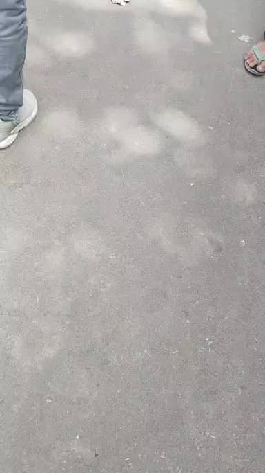 siyalpura me scorpio valene takarmardi jise ilajke doran mat hogai