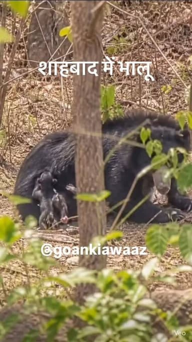 #viral #goankiawaaz #गांवकीआवाज #viral #village