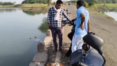 बड़वानी: शहर के नर्मदा नदी राजघाट छोटे पुल के नीचे पानी में मिली लाश, फैली सनसनी, पुलिस जांच में जुटी