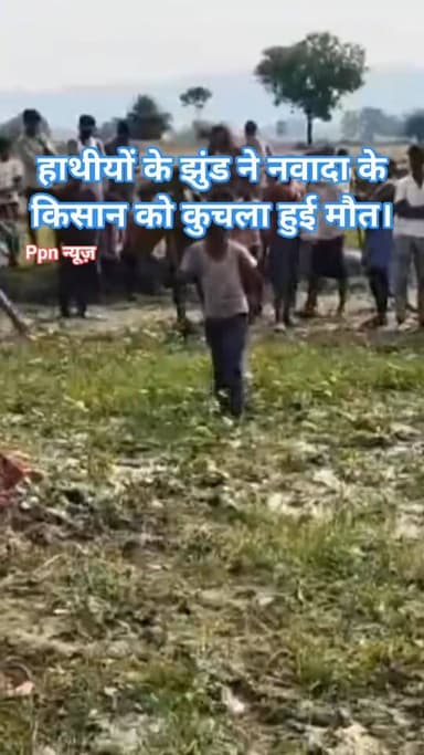 हाथीयों के झुंड ने नवादा के किसान को कुचला हुई मौत।