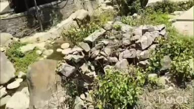 मंडी: माता-पिता खो चुके भाइयों का घर बारिश में ढहा, सुरक्षित घर और जमीन के लिए मदद की अपील