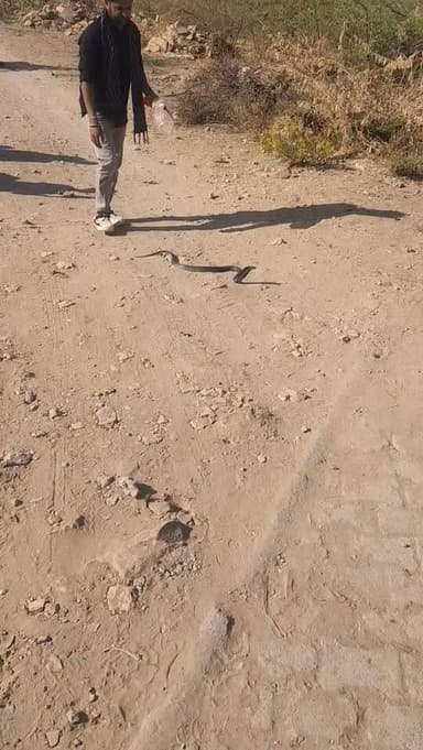 #लाठी