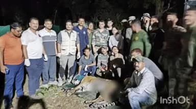सल्ट: तड़म में बाघ का सफल रेस्क्यू, मानव-वन्यजीव संघर्ष के बाद वन विभाग का अभियान सफल
