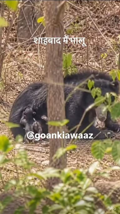 #viral #goankiawaaz #गांवकीआवाज #village