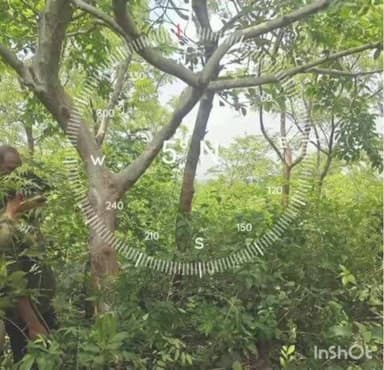 बोराम: बोड़ाम में किशोर ने जंगल में फांसी लगाकर की आत्महत्या, क्षेत्र में शोक