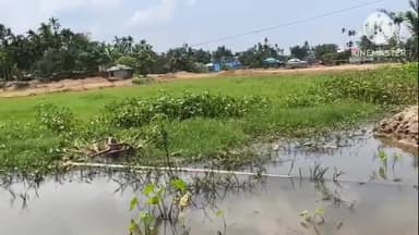 তেলিয়ামুড়া: করিলং স্কুল মাঠে নবনির্মিত ইনডোর হলের চারিপাশে জমা জল নিষ্কাশনের ব্যবস্থা দেখতে পরিদর্শন করে TMC CMসহ তেঃমুড়া SDM