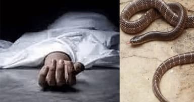 திருவண்ணாமலை: தீயணைப்பு நிலையம் அருகே கட்டுவிரியன் பாம்பு கடித்து காங்கிரஸ் தலைவர் பலி!