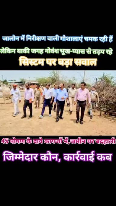 जालौन की गौशालाओं पर बड़ा खुलासा, सिस्टम पर सीधा सवाल!
जालौन में एक तरफ जिलाधिकारी राजेश कुमार पांडेय का डकोर गौशाला न...
