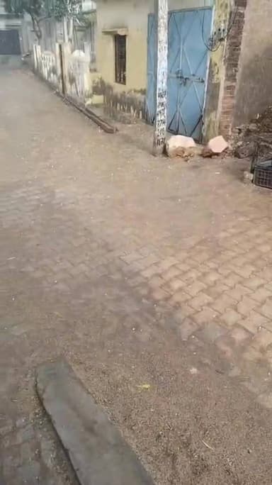 2 मिनट में अंधड़ और ओलावृष्टि से सड़क का हुआ यह हाल..........