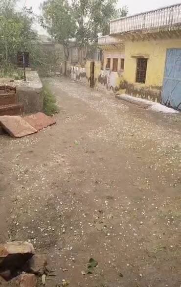 तहसील वैर के गांव बांसी में हुई ओलावृष्टि...........