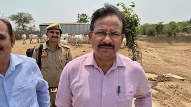◆ गौवंशों की सुरक्षा प्रशासन की सर्वोच्च प्राथमिकता, लापरवाही पर तय होगी जवाबदेही - डीएम
भीषण गर्मी को देखते हुए सभी गौ...