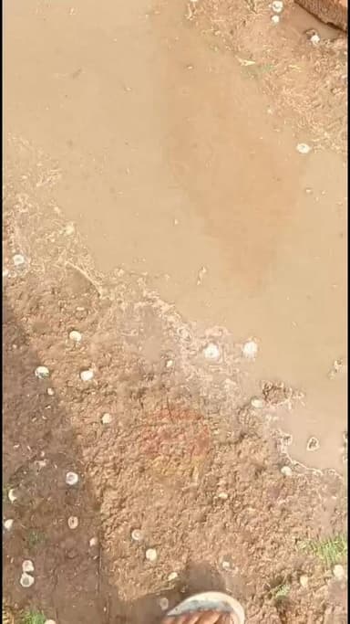 तहसील वैर के नयागांव माफी में ओलों की बरसात