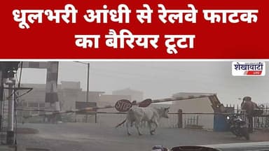 धूलभरी आंधी से रेलवे फाटक बैरियर टूटा #churu #shekhawatilive #mousam #viralnews