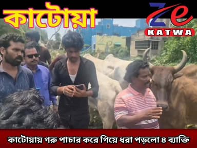 কাটোয়ায় গরু পাচার করে গিয়ে ধরা পড়লো ৪ ব্যাক্তি।