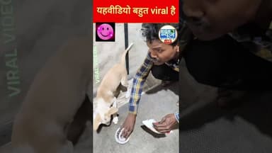 दूध के लिए बेकरार पप्पी 🐶🥛 | #Viral Cute Video #Short