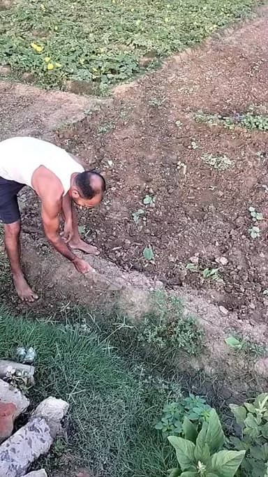 खेत की खुदाई करते किसान