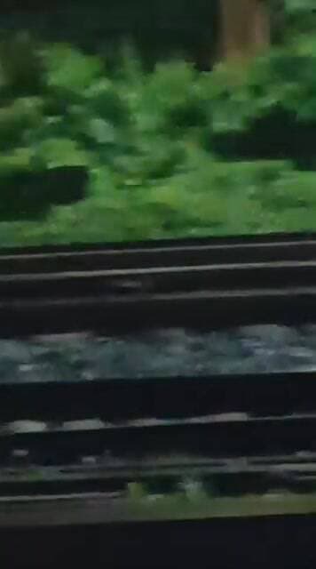 ⚠️ अत्यंत महत्वपूर्ण सूचना | Tatanagar Railway Station Yard क्षेत्र ⚠️
सोशल मीडिया एवं व्हाट्सऐप पर एक वीडियो तेजी से व...