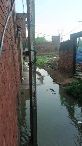 jila Amroha tahsil said nangali