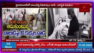 హైదరాబాద్లో బాలుడిపై వీధికుక్కల దాడి.. పరిస్థితి విషమం