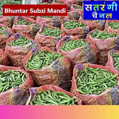 "भुंतर सब्जी मंडी अपडेट्स"
13 मई 2026 को भुंतर सब्जी मंडी में सब्ज़ियां और फल क्या भाव बिके | देखें वीडियो
#bhuntarsubzi...