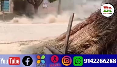 बेगूसराय के डंडारी में हाई टेंशन 11000 तार गिरने से एक मवेशी की दर्दनाक मौत Bihar Police News18 India ABP Live Aaj Tak I...