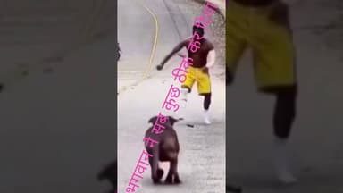 #funny #latestnews #