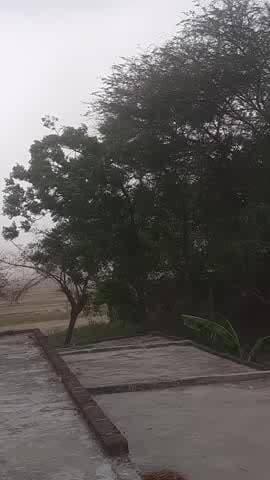 Tulsiyapur up 55 siddharthnagar weather status on 12may 2026 4.15PM