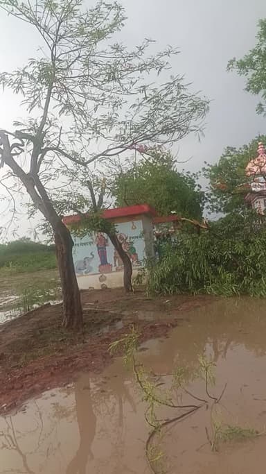 रायबरेली डलमऊ के कोल्ड स्टोर के पास ऐसी आंधी आई लोगों की टीम पर पौधे काफी गिर चुके हैं बिजली के तारे काफी नुकसानहो चुका