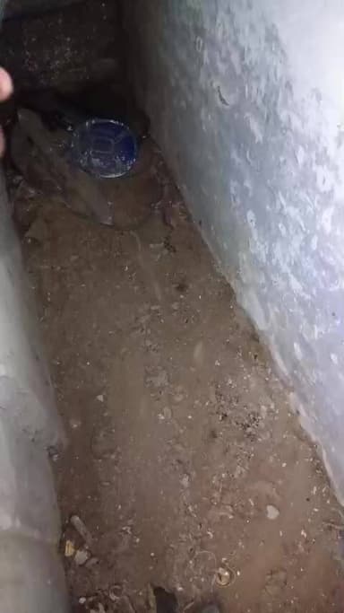 गैस गोदाम पर सांप की वीडियो देखिएगा