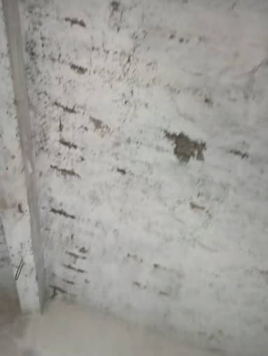 गांव थानुआ अंगबाड़ी केंद्र है इस अंगबाड़ी के हालात देखिए कब गिर जाएगा कोई गारंटी नहीं है छोटे छोटे बच्चों पढ़ते हैं ना इ...