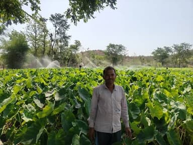 सफलता की कहानी: 'प्रति बूंद अधिक फसल' का साकार होता सपना
प्रधानमंत्री कृषि सिंचाई योजना ने मेरी खेती को नई दिशा दी है :...