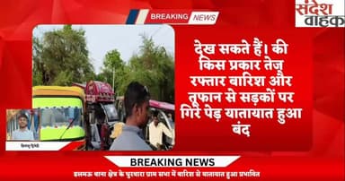 देख सकते हैं आप की किस प्रकार तेज रफ्तार बारिश और तूफान से सड़कों पर गिरे पेड़ से यातायात हुआ बंद